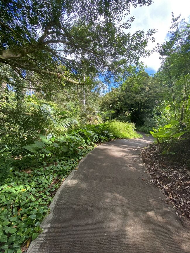 予習<br />これは明後日行くWahiawa