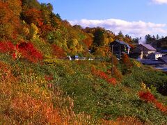 バス停から、後生掛温泉へと歩いて行く。宿へと続く道は、美しい紅葉で彩られていた。