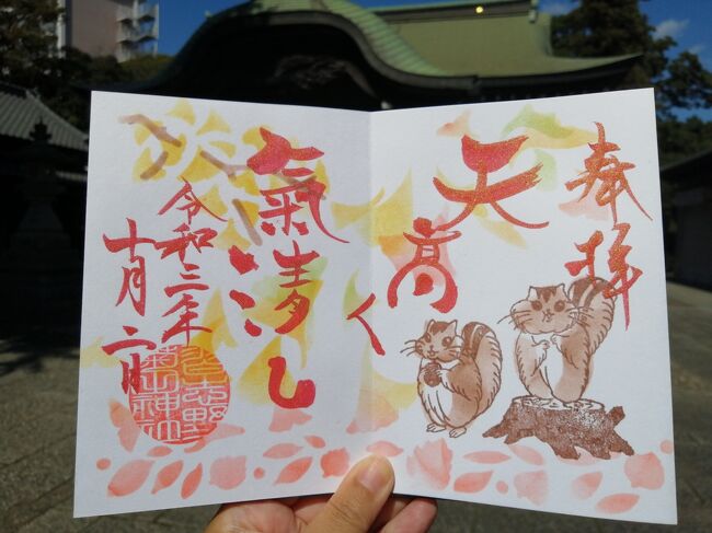 ◇菊田神社(千葉・習志野・津田沼)◇御朱印「藤の花」 令和3年(2021