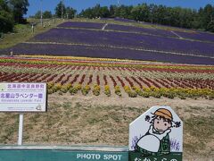 ファーム富田からの移動中にリフトのあるラベンダー園を見つけて寄ってみることに
北星山ラベンダー園、中富良野町営です

下から見ると色むらがあるけど、どうかな