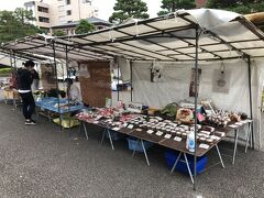 朝散策は陣屋から

陣屋前朝市　ちょっと寂しい