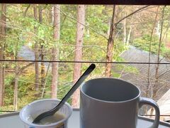 10月10日(土)
今回の軽井沢滞在も遂に最終日
オナーズヒル軽井沢の16のヴィラから見える景色を眺めながら朝食にしました