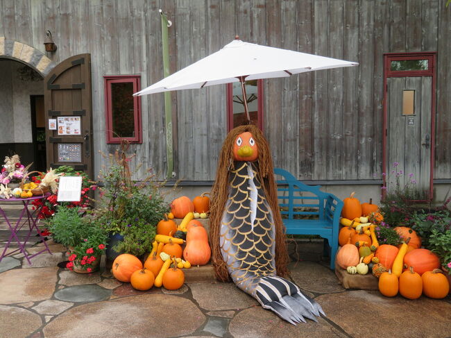 秋のお出迎えですね。<br />お陰様で感染減ってきています。