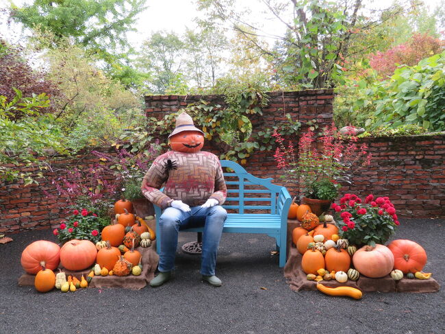 小さなお子さんがこわごわ触っていました。<br />暗くなると確かに人に見えます。