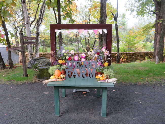 ひとつひとつが可愛い