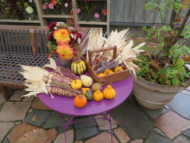 ウチにも欲しい