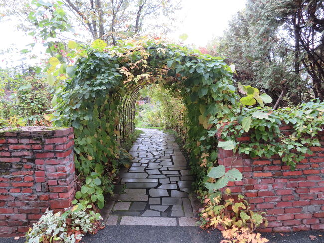 アーチってなぜ素敵なのかな？<br />くぐるだけでワクワクする。<br />くぐった先には素敵な世界がある気がするからかな？