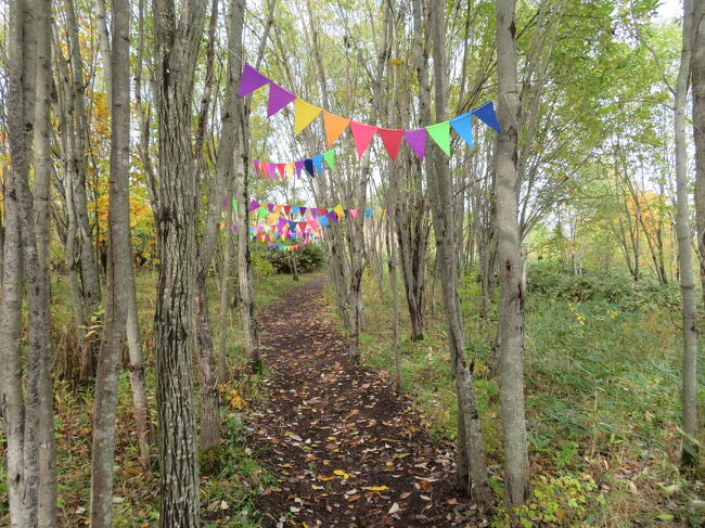 登る時は最短ルートでしたので下りはこっちで。<br />これがあるだけで楽しい道になるはず。<br />私の右足の小指にひびが入っています！爆笑！<br />あれは7日の朝、ウチを出る直前にベッドの角にぶつけました。いったぁいと思いましたが、普通に仕事行きました。帰りに同僚とおしゃべりしていたらなんか痛い。靴脱いでみたら！小指が真紫！ストッキングからもわかる。<br />まだ診てくれる病院に飛び込んでみると。<br />『あーひび入っているねちょっとだけど。』<br />シップでぐるぐるにして安静？にするようにと。<br />登りは平気、でも下りはつま先にチカラが入るのでちょっと歩き難い。