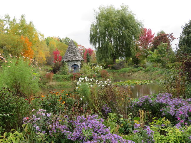 ノームさんのおうちも秋に埋もれています。