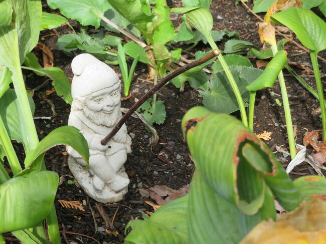 何か釣れます？