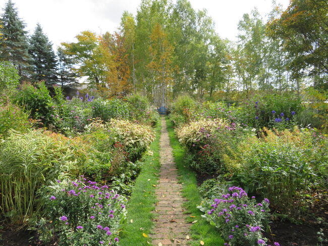 なかをゆっくりふらふら歩きます。<br />途中のソファに座り空を見上げます。<br />紅葉した白樺が風に揺れてザワザワしているのをぼんやり眺めます。<br />強い風が吹くと横から雨が降るように落ち葉が舞います。深呼吸して頭空っぽ。<br />元々軽いですが。