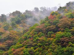 流れるように山間の谷から靄が下りてきます。
紅葉の最盛期にはまだちょっと早いでしょうが、淡く色づいていたので肌寒さ以外にも少しは秋らしさを実感。