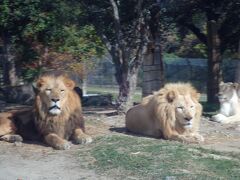 チェックアウトは10時です。
湯村温泉からは鳥取砂丘が比較的近い（40分）ので行こうかなと思っていたのですが、鳥取方面のお天気が良くないということでやめました。

ということで、子供が行きたいと言う姫路セントラルパークへ。
帰りがてらというには随分遠いですけど^^;

