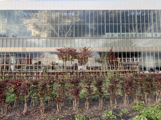 駅裏のガーデンはもう冬支度。<br />雪囲いですね。<br />気温が下がってきましたが、みなさんベンチで思い思いの時間を過ごしています。