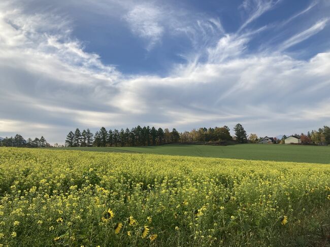 ペンションの前は素敵な畑。<br />また、美瑛駅まで送って頂きます。<br />わざわざ遠回りして観光させて頂き感謝です。