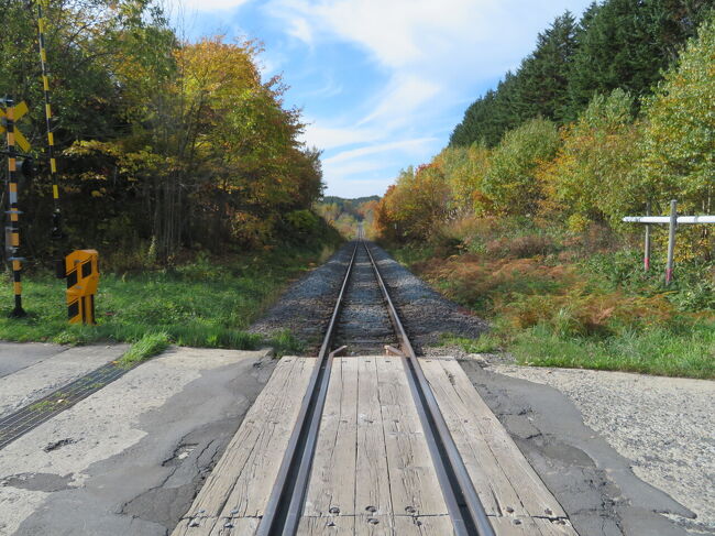 定点観測。<br />私のしている事は全体的に定点観測だわ。