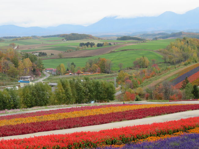 もうお花は終わりかけ