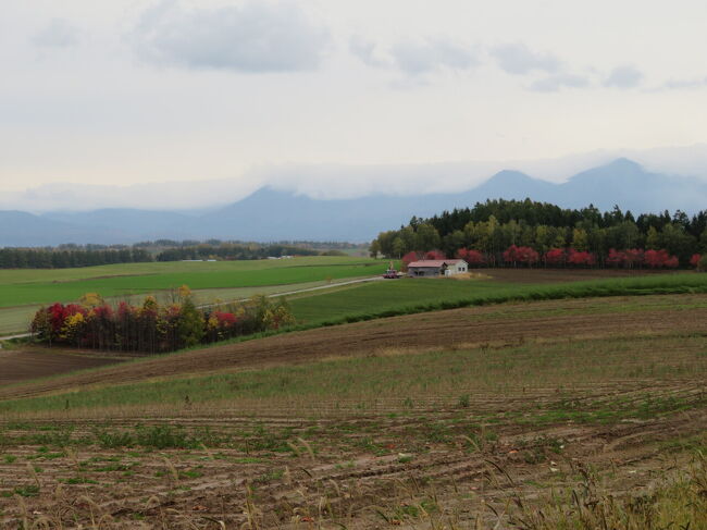 ここもお気に入りの場所ですが、気に入っていた木を見つけられませんでした。<br />絵本の木と呼ばれていたのかな？<br />私の探し方が悪い？<br />行ったり来たりしたけど、残念。