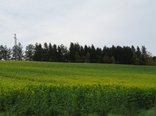 またまた発見。ひろーい。