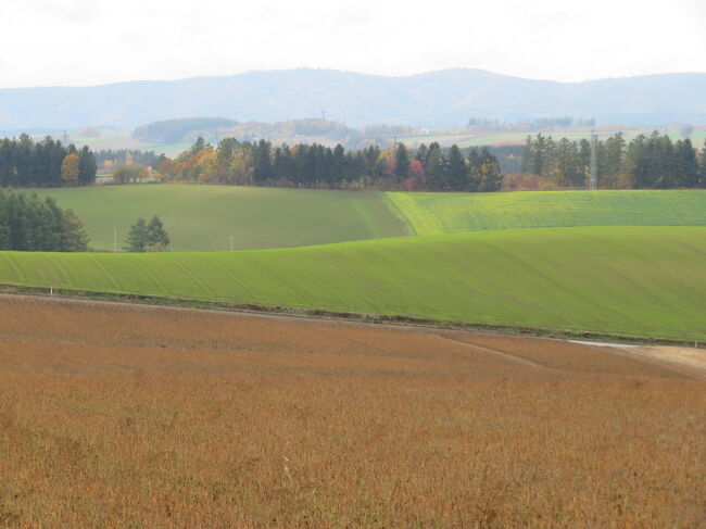 ずっと見ていられる。