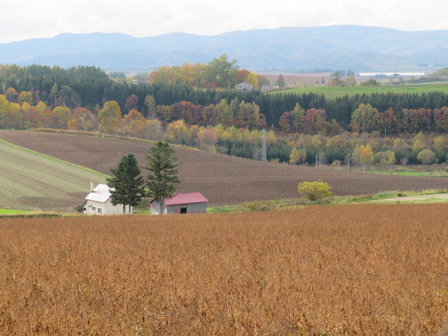 ここに着いた頃は気温もかなり下がり、風が強く倒れそうになりふらふら走る。