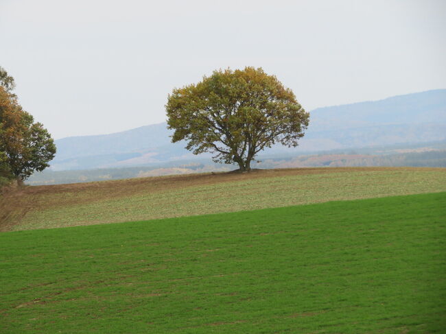 ここにもご挨拶しなくては。