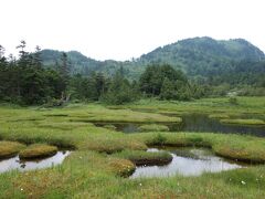 大小６０の池塘が広がるこの湿原
爽やかで気持ちいい

奥に見えるのは裏志賀山（右）と志賀山（左）
裏志賀山から見る大沼池はホントおすすめです

