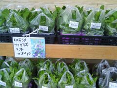 いきなり苗ものの写真から始まりますが、まずは熊本県荒尾市にある「荒尾ときめき市」からスタートです。
ここは苗ものが元気が良くてお安いので人気。開店と同時に花の苗を購入します。