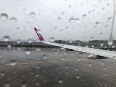 10/1　房総半島沖に台風が位置しており飛行機が飛ぶかどうかも微妙な中、成田に向かいます。最寄駅からの成田行きバスはこのご時世運行を取りやめておりどうやって成田まで行こうか迷いましたが、エアポートリムジン新宿発でスーパーWEB割という半額割引が利用できたので新宿から成田空港までバスに乗り、実に久々の成田空港へ。着いてさっそく運行状況を確認するとどうやら午前中の飛行機は飛びそう、ということでいそいそと手続きを済ませ機上の人に。窓の外はご覧の通り台風の影響で酷い天気。