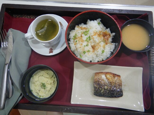 この日初めての食事が夕食。<br />サバの塩焼きとご飯。