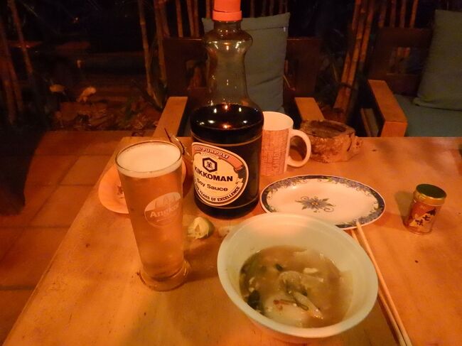 夕食。宿のシェア飯。鶏の水炊き。<br />この日は宿から一歩も外に出なかった。