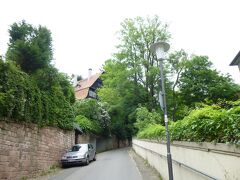 【Heidelbergハイデルベルク観光】
10：15～14：50

ハイデルベルクの町はバーデン・ヴュルテンベルク州の北西部にあり、ネッカー川沿いに発展した町である。人口は意外に14万7千人と多いが、学生の町でもある。

この町はプファルツ選帝侯領の首都でもあった。
ハイデルベルク城址、『アルト・ハイデルベルク』のロマンスで名高い古都・・・ドイツ旅行で最も魅力的な町と云われる。
そしてこの町を題材にした文学作品や歌も多い。

ゲーテやハイネ、ショパン、フリードリヒ・ヘルダーリンなど、多くの芸術家がこの町を訪れ、称えたと云う町であるが、私共はかつて2度程度しか訪れていない。
古城街道を逆から走ってくるため、ツィ、100kmの短い距離にあるフランクフルトに急ぐ行程にしてしまう所為である。

今回はハイデルベルクにしばしの時間を割いた。

写真はハイデルベルク：哲学者の道は急勾配の坂道だ。