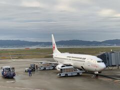 宮古行きは、Japan Transocean Airという航空会社による運航なんですねー。