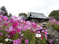 うわ～～！！！
凄いよ！きれいだよ！感動だよ！！！