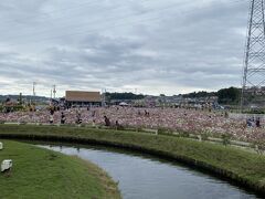 佐倉ふるさと広場