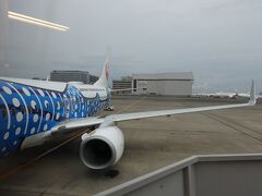 最後にまとめ
ひとことで言うと、一般的なホテルではなく広めのカプセルホテルであるということ。そのため、施錠はできない、キャビン内で飲食できない、他人のいびきや物音が気になることもあるなど制約があります。逆に自分も物音に気を遣わなければいけません。空港に近い場所で寝られればOKという方には向いています。


良かった点：
・第1ターミナル内に立地という近さ、安心感
・館内、キャビン内、共用部分いずれも基本きれいにされている

いまいちな点：
・利用料金は格安というわけでもない（安いビジネスホテルより少し安い程度）
・部屋（キャビン内）で飲食できない
・いびきや物音が少し聞こえる時があった
・大浴場の浴槽が浅め

こんな方におすすめ：
・第1ターミナル発着便に搭乗する際の前泊、後泊に寝るだけという方
・多少の物音は気にならないタイプという方
・空港内に泊まりたい方

（終わり・ご覧いただきありがとうございました）