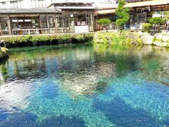 潜りたくなっちゃうけど、忍野八海の湧水の地下は複雑につながっていて、全貌がよくわかっていないようです。
過去にはプロのダイバーさんが誤った穴に入ってしまって亡くなられたという事故もあったようです。。ドキドキ。