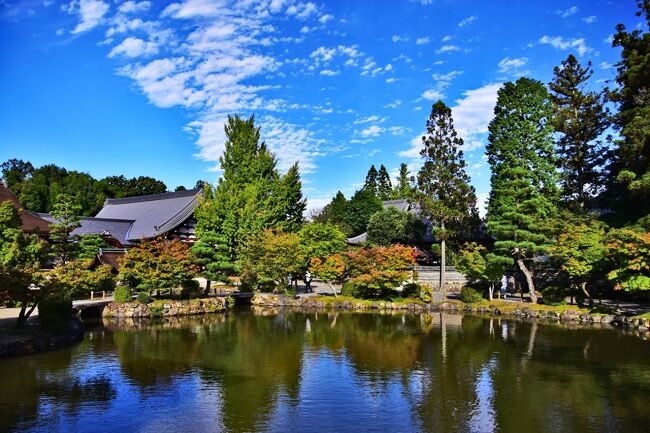 心地よい秋の空気を吸いながら虎渓山 永保寺へ』多治見(岐阜県