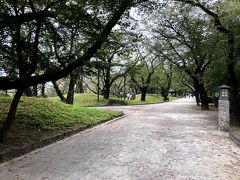 桜で有名な飛鳥山公園の中を王子駅方面に進む。