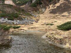 ハイキングコースの一番下に位置するのが、この剣ヶ池です。雨水が溜まったものか、湧水があるのか、よくわかりません。