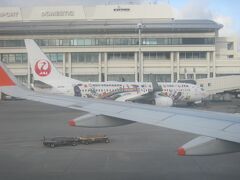 駐機スポットの隣には、JTAの特別塗装機が。