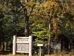 北海道大学 苫小牧研究林