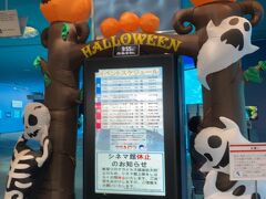 ハロウィンバージョン
イルカショーや、イワシのトルネード、餌やり、トレーニング公開等々イベントがあります。が、なんと見たいのが同じ時間が多い。