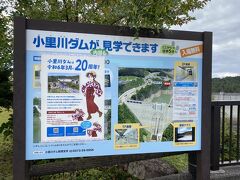 「ねぇ、ダムだって～」

子猫を飼えなくてすねてたピースケの顔が光った

偶然だけど先週「ダムに行きたい」って話してたところ