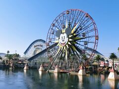 【Mickey's Fun Wheel/PP】(待ち時間：約20分)
California Adventureのランドマークとも言えるこちらの観覧車。
2コースありまして、片方のコースは、景色を楽しみながら乗る、フツーの観覧車。しかし、もう一方のコースは、観覧車の内側を、最初はフツーに進むのですが、突然、バイキングの船のようにスイングするのでっす。
 
いや、そりゃ～、こんな所まで来て、フツーの観覧車に乗るなんて、ねぇ、ってことで、迷わず揺れる方をチョイス