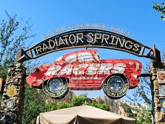 【Radiator Springs Racers/CL】 (待ち時間：約10分/FP有)
カーズランドのメインアトラクションであり、ここカリフォルニアディズニー内で今最も人気ののアトラクションがこちら。
 映画「カーズ」に登場するキャラクターをイメージしたライドに乗り込み、映画の舞台、オーナメント・バレーの岩山の間を競争します。

このアトラクションがCars Landの敷地の半分近くを占めているだけあって、力のいれようハンパ無い壮大なスケールの中を走り抜けます。
とにかく人気とってことだけは日本にいたときからチェックしていたので、パークに入って早々にファストパスをゲットしておきました。