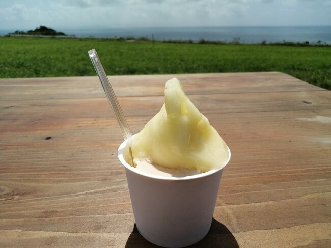 「塩黒糖」と「シークヮサー」のハーフ&amp;ハーフ　396円。<br />おいしいんですが、ややお高め…。