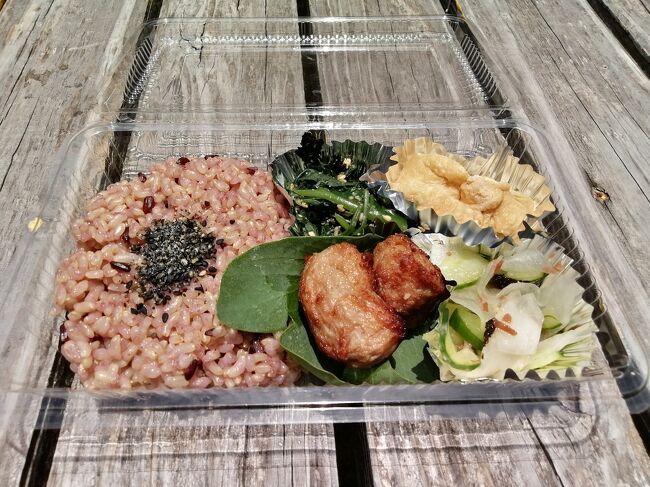 「VEGAN ハーフ弁当」480円<br />ベジタリアンフードです。お味はおいしいですが、ハーフだと物足りません。身体にはいいと思います。<br />https://4travel.jp/dm_shisetsu_tips/14446135
