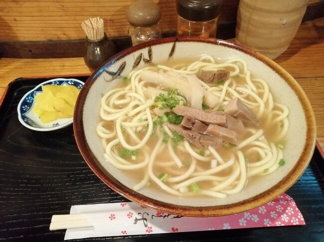 「八重山そば」税込600円。※以降の価格は全て税込表示とします。<br />シンプルですがめっちゃうまいです。