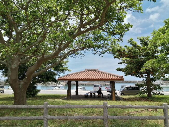 漁港内の東屋でいただきました。